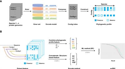 New feature extraction from phylogenetic profiles improved the performance of pathogen-host interactions